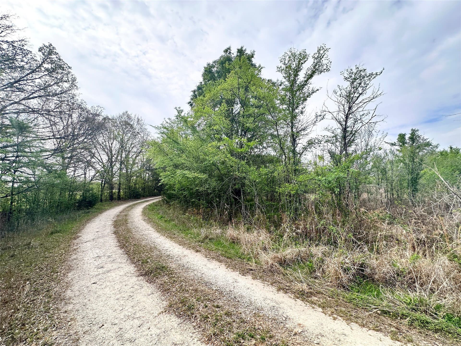 13.21 acres in Henderson County gallery image 4