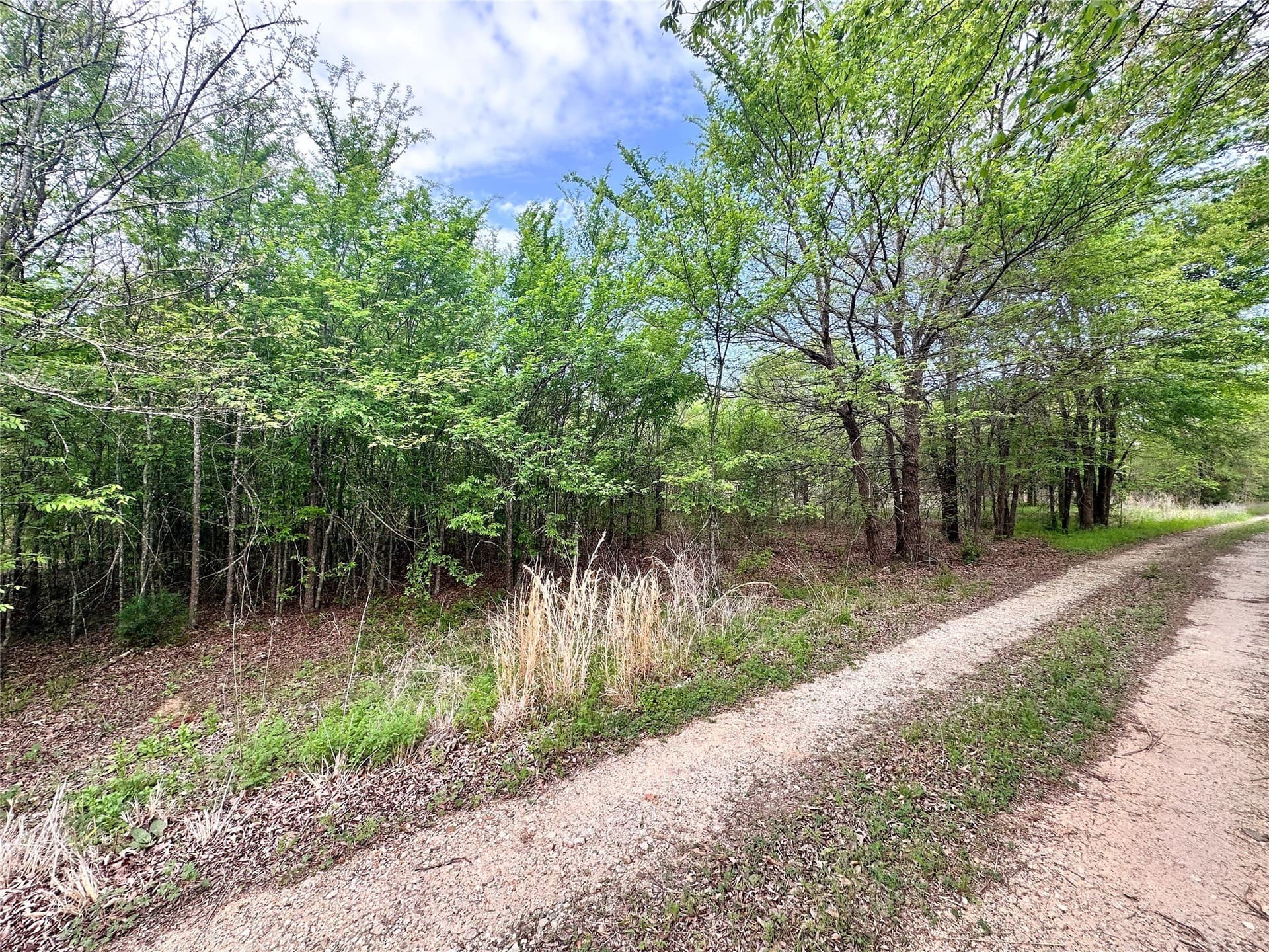 13.21 acres in Henderson County - photo 12