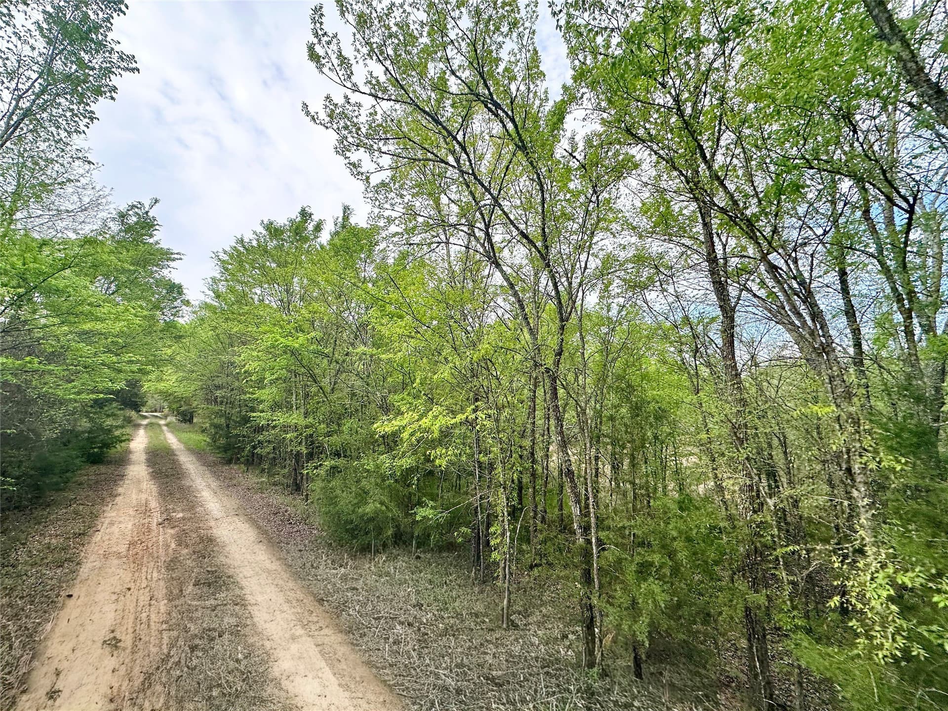 13.21 acres in Henderson County - photo 9