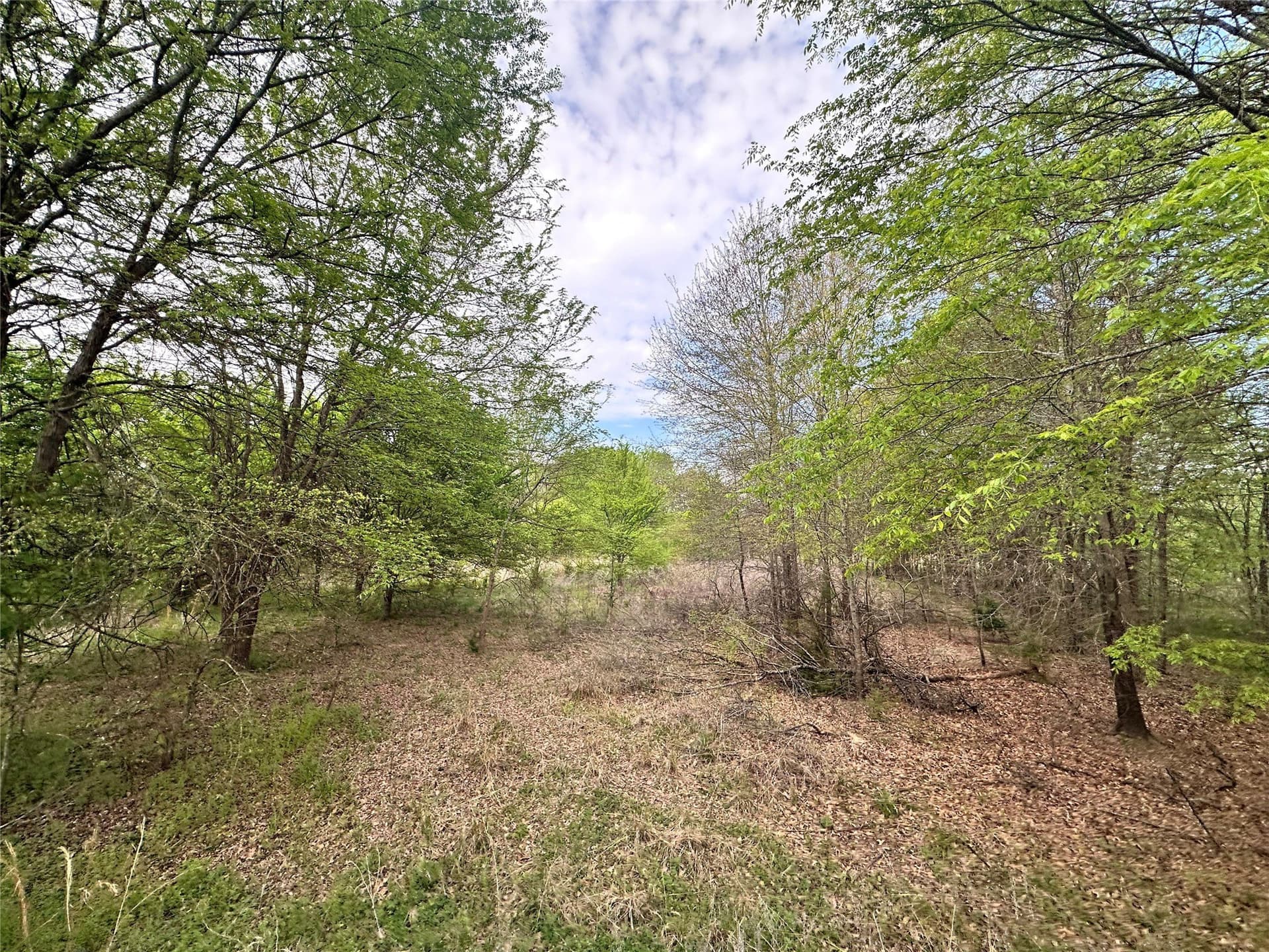 13.21 acres in Henderson County - photo 10