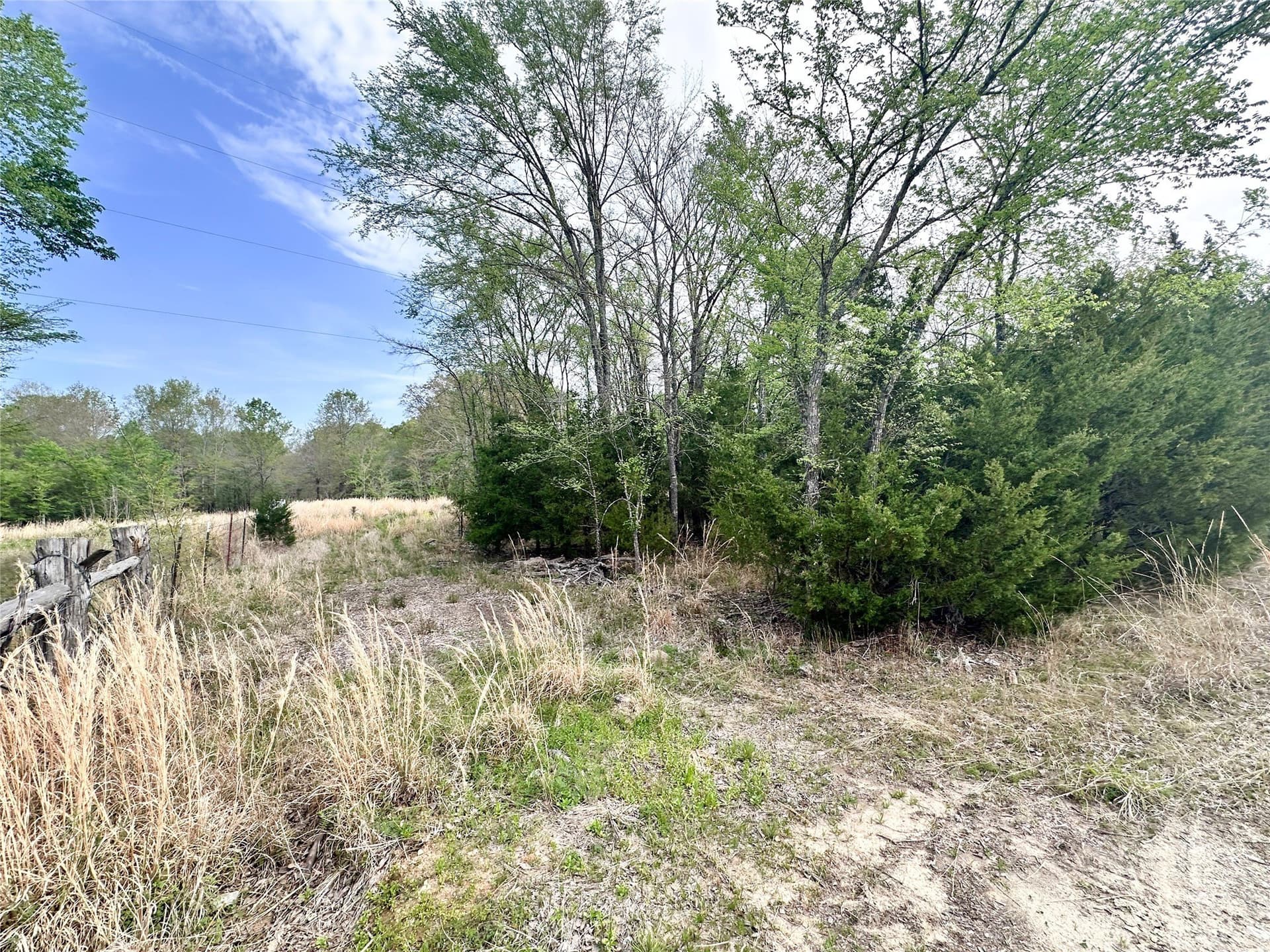 13.21 acres in Henderson County - photo 6