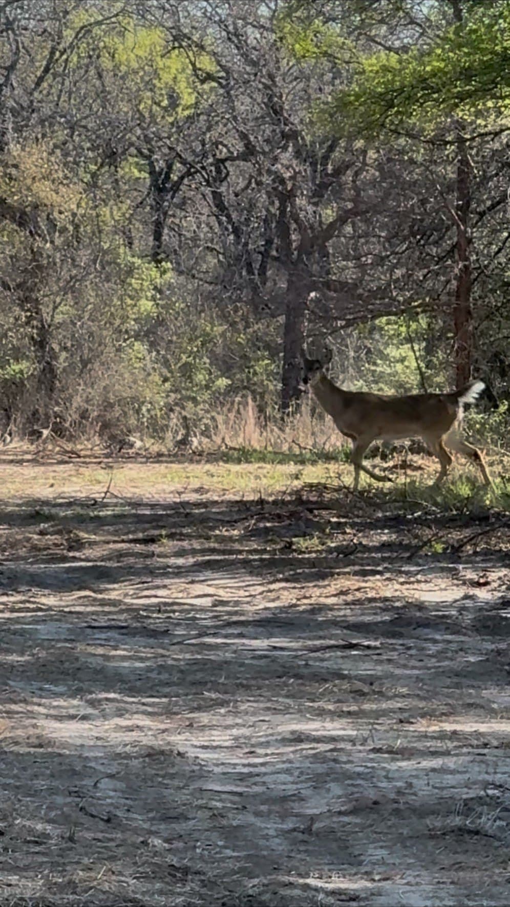30.28 acres in Erath County - photo 16