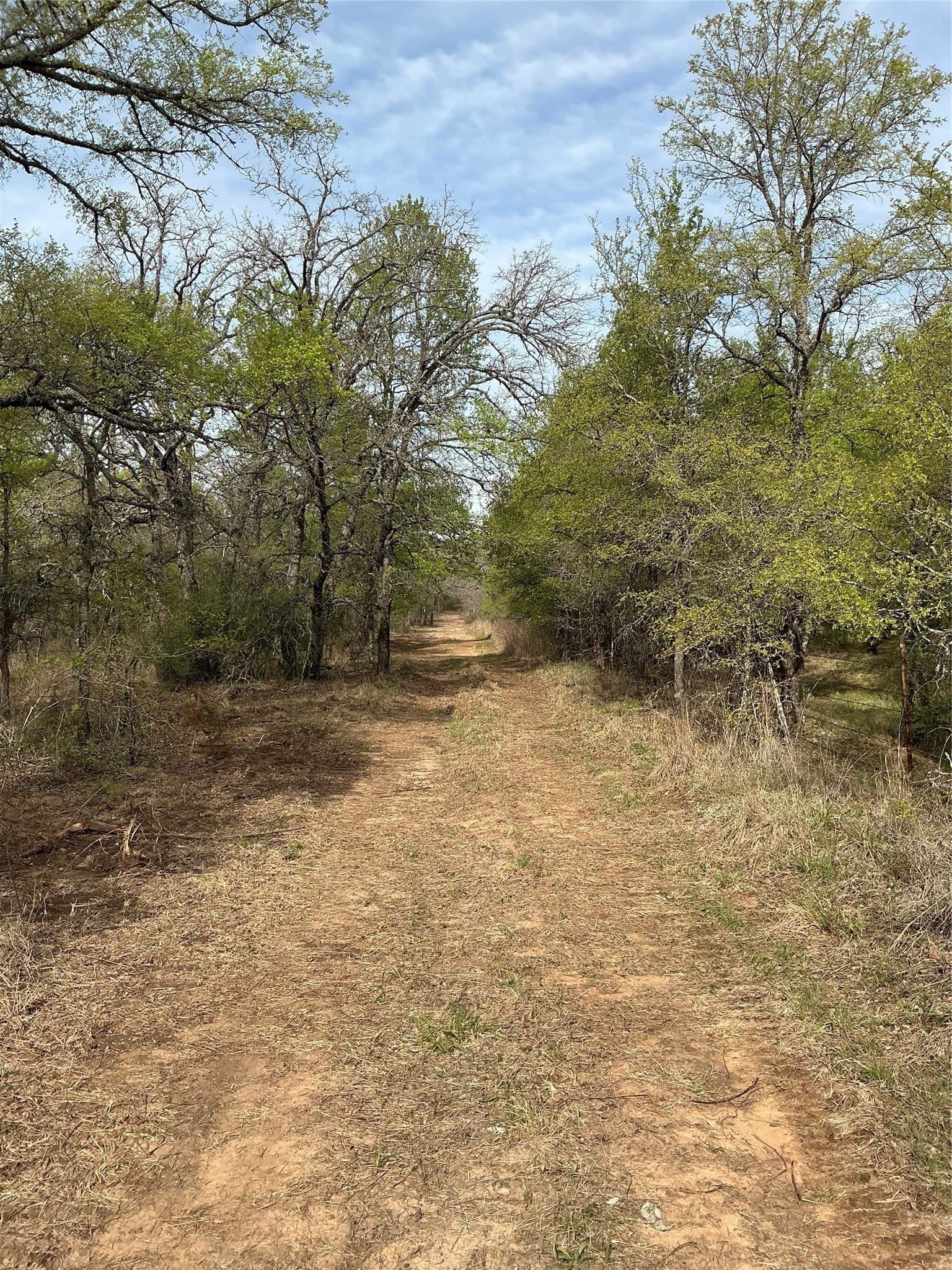 30.28 acres in Erath County - photo 7