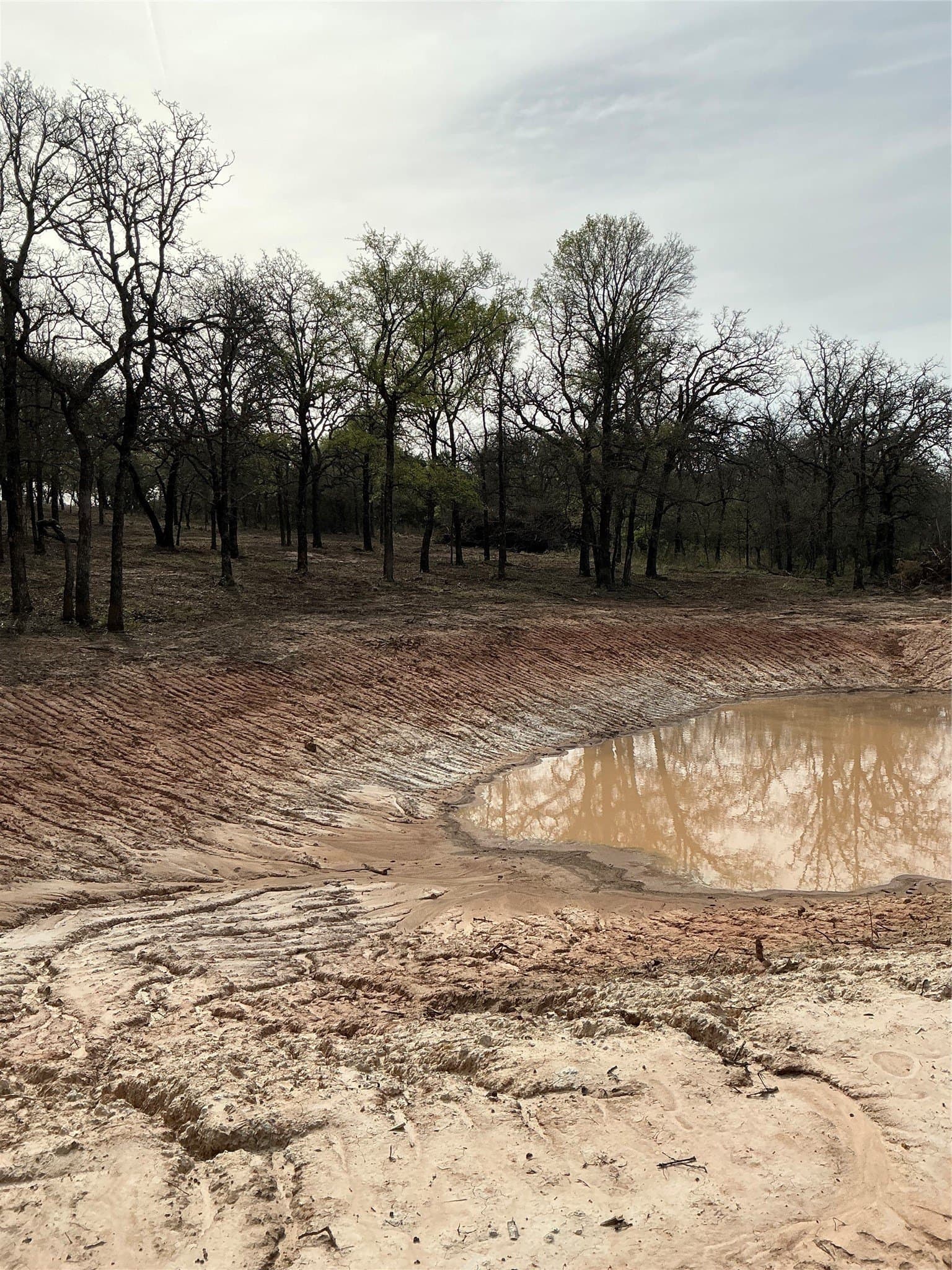 30.28 acres in Erath County - photo 8