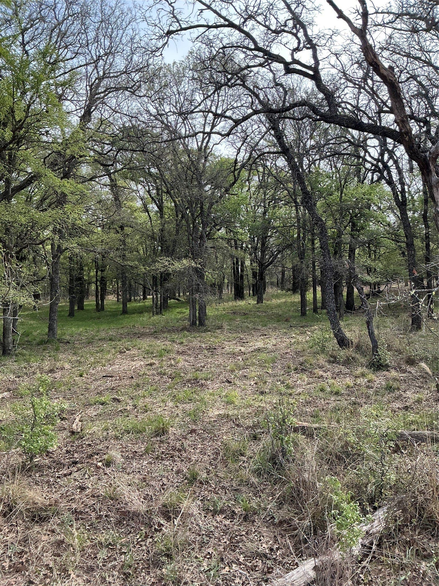 30.28 acres in Erath County - photo 10