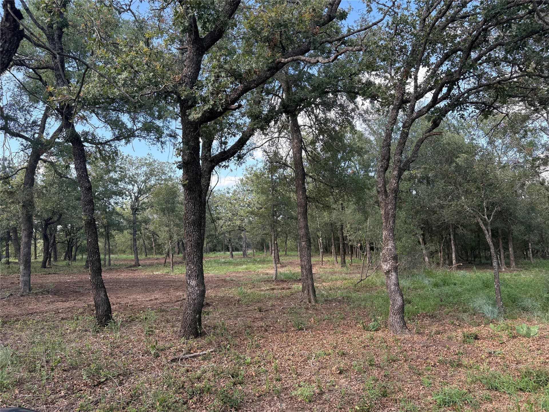 30.28 acres in Erath County - photo 4