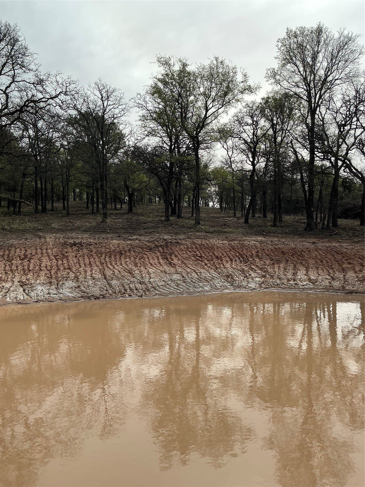 30.28 acres in Erath County - photo 9