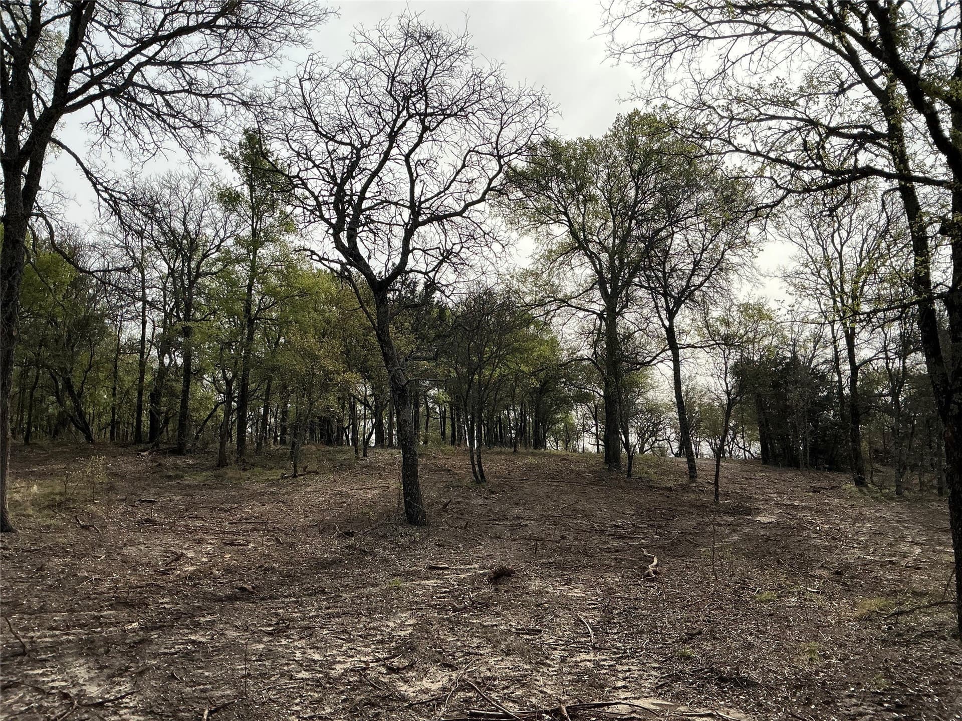 30.28 acres in Erath County - photo 12