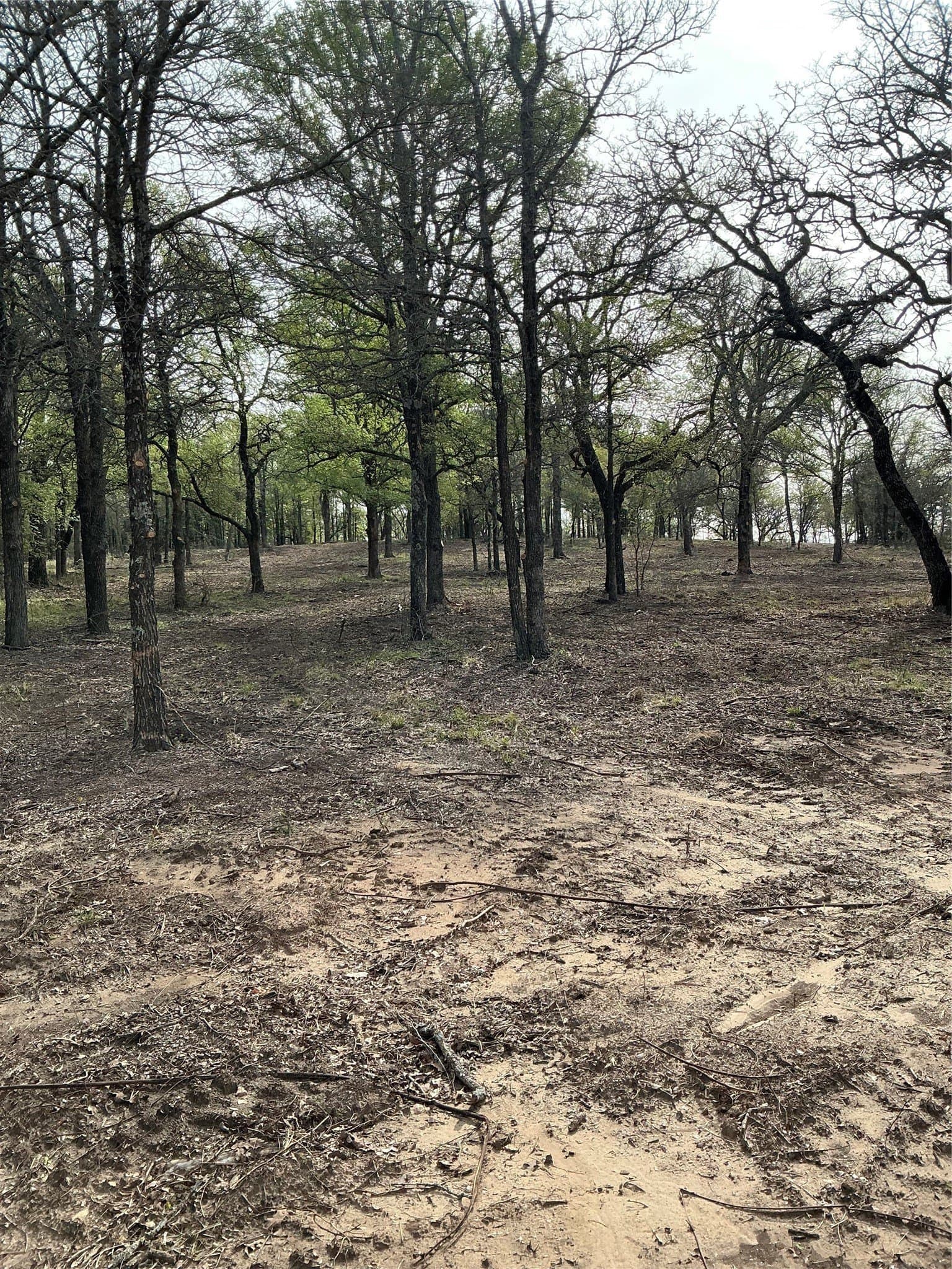 30.28 acres in Erath County - photo 11