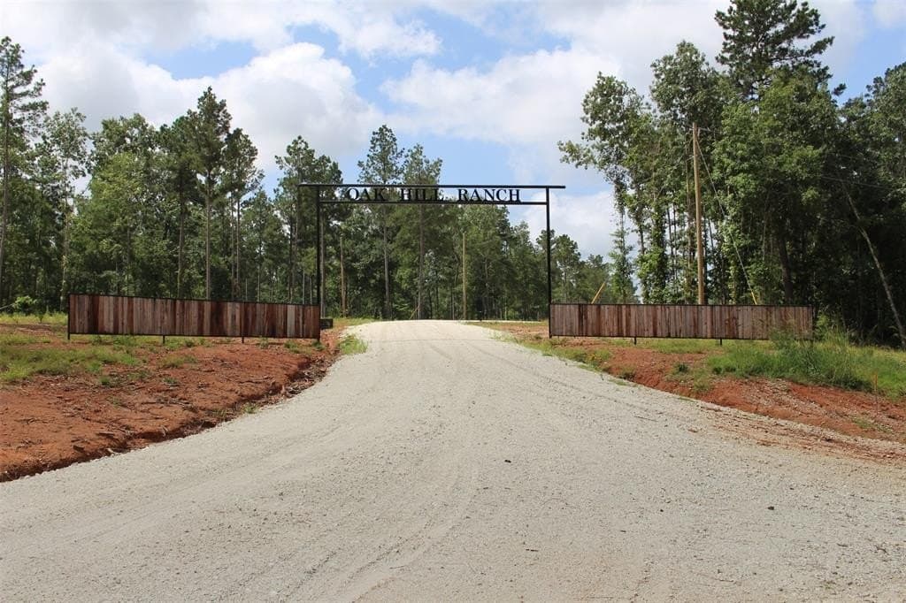 10.01 acres in Houston County gallery image 2