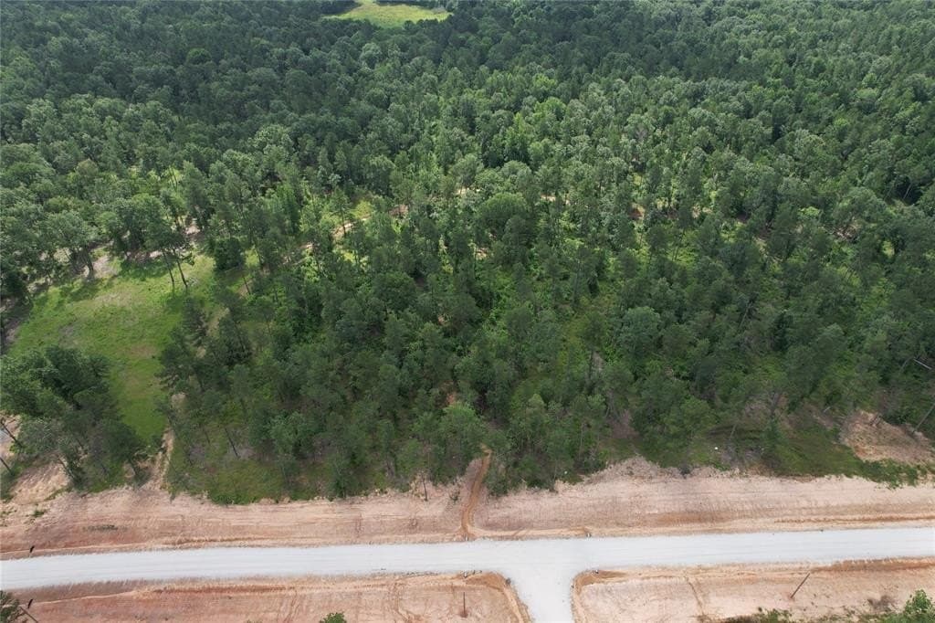 10.01 acres in Houston County gallery image 4