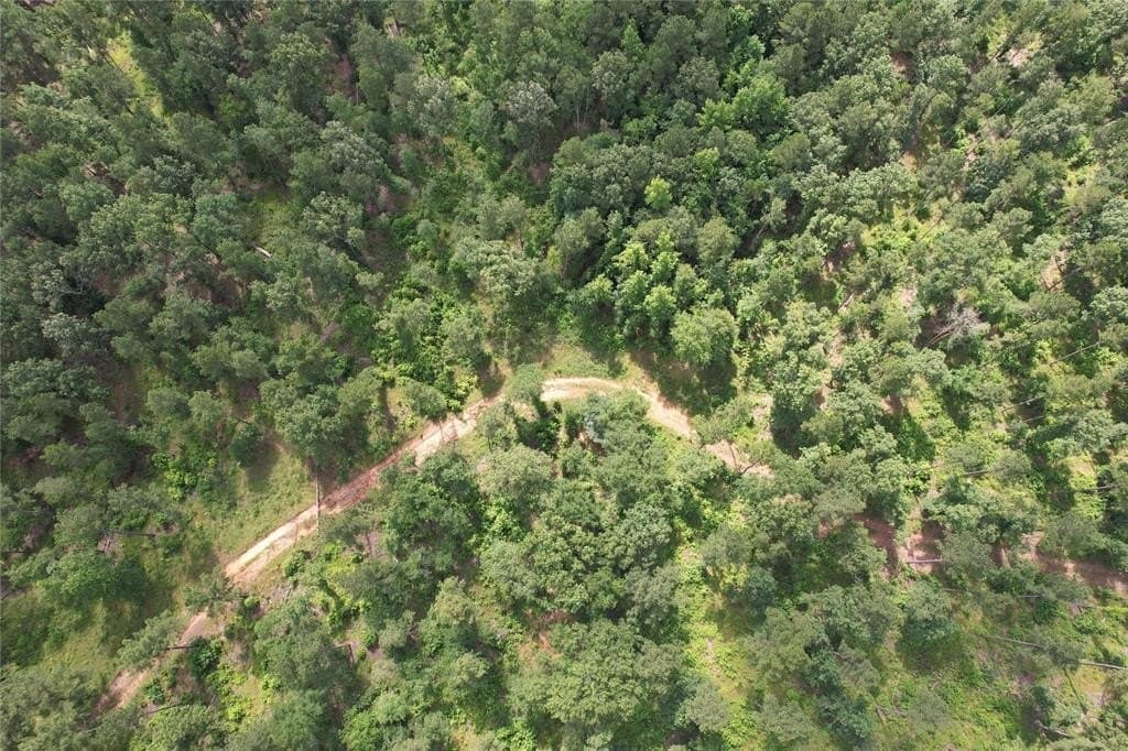 10.01 acres in Houston County featured view