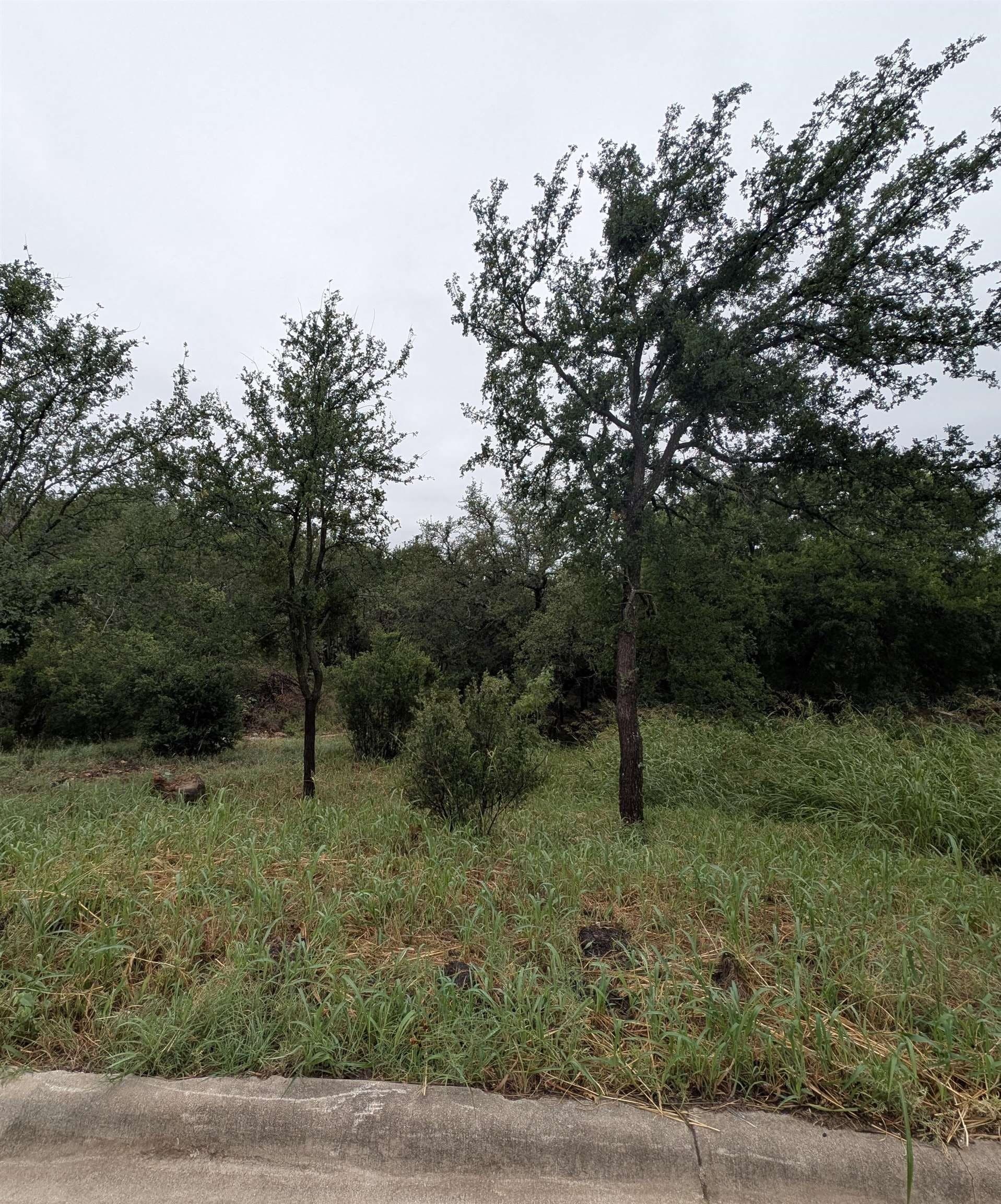 0.4 acres in Burnet County - photo 4