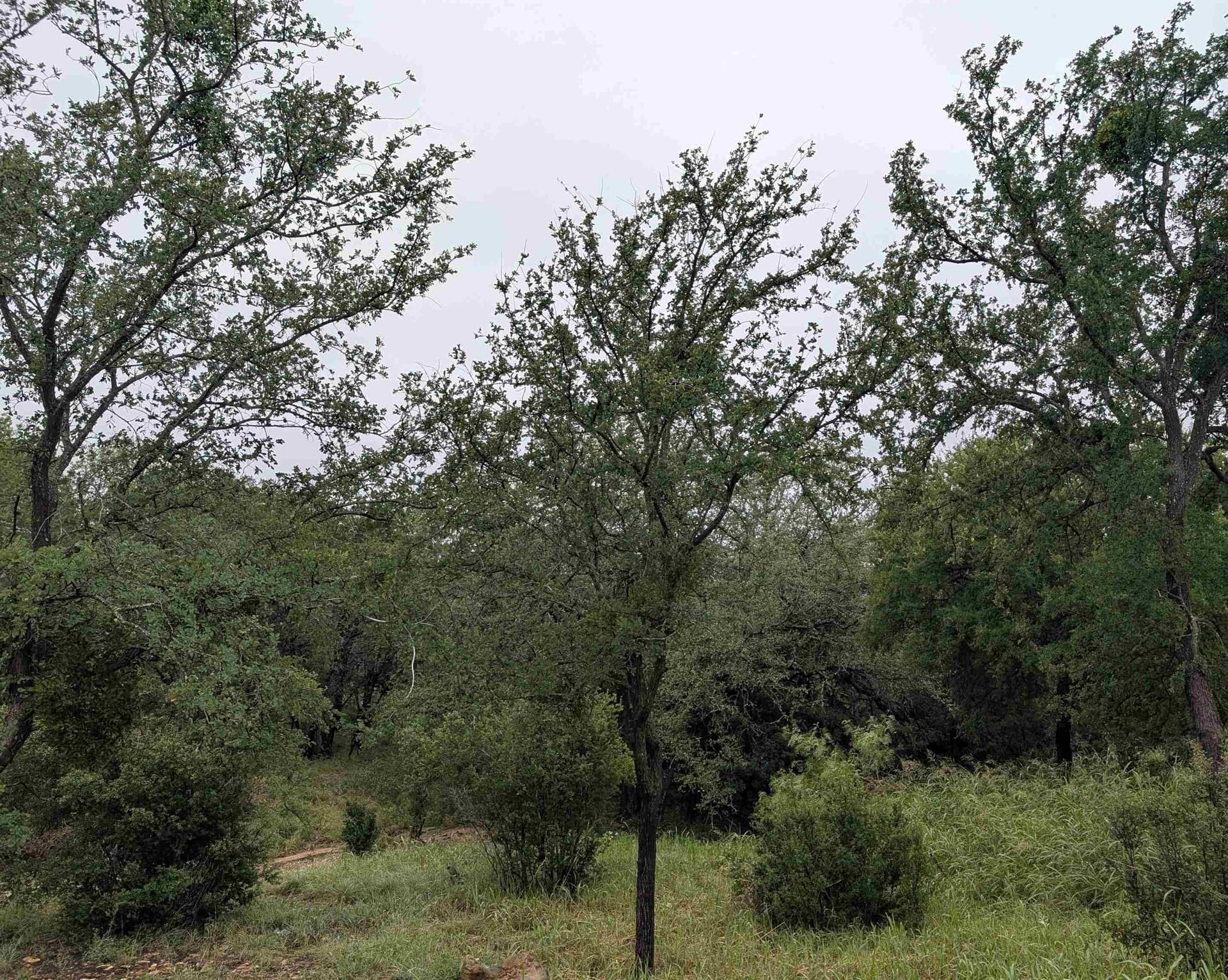 0.4 acres in Burnet County - photo 3