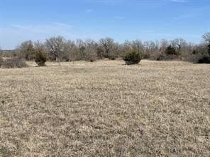 292 acres in Montague County gallery image 3