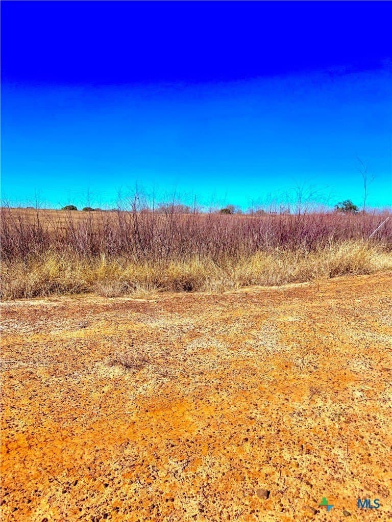 4.48 acres in Guadalupe County gallery image 3