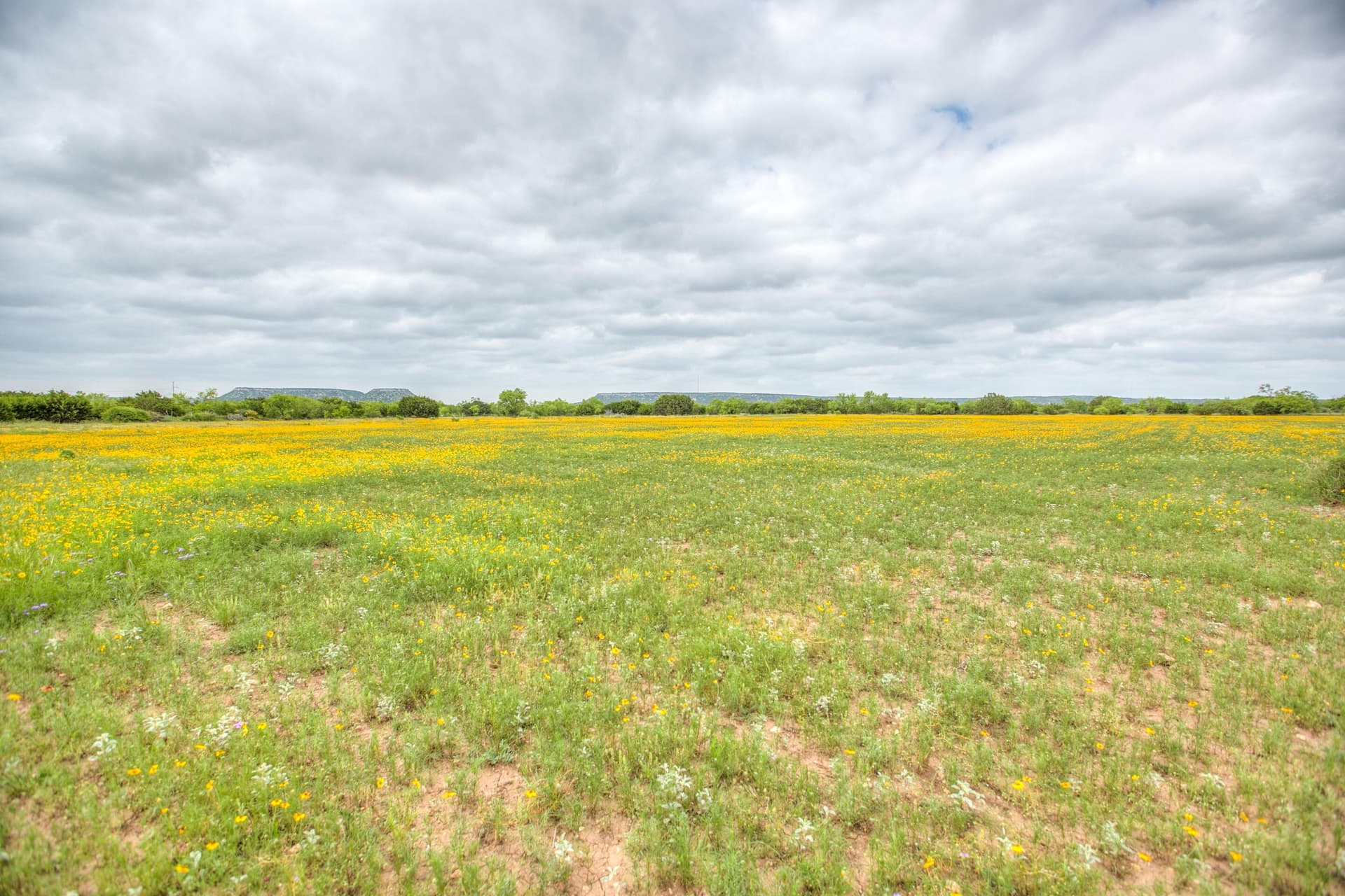 86.23 acres in Runnels County - photo 54