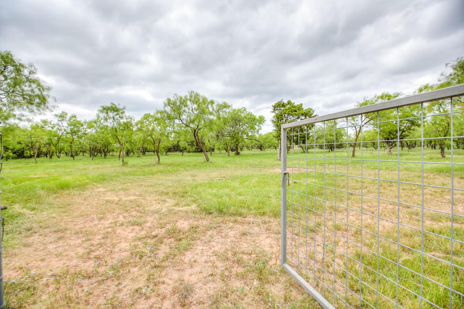 86.23 acres in Runnels County - photo 6
