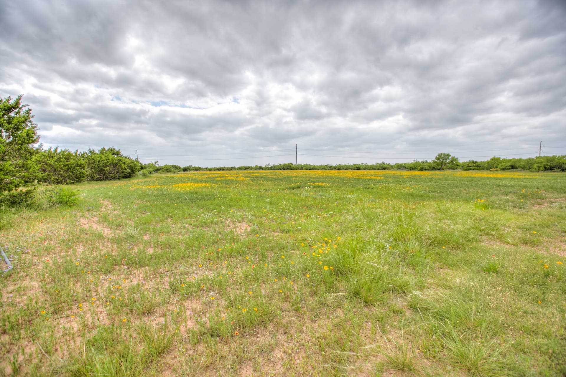 86.23 acres in Runnels County - photo 36