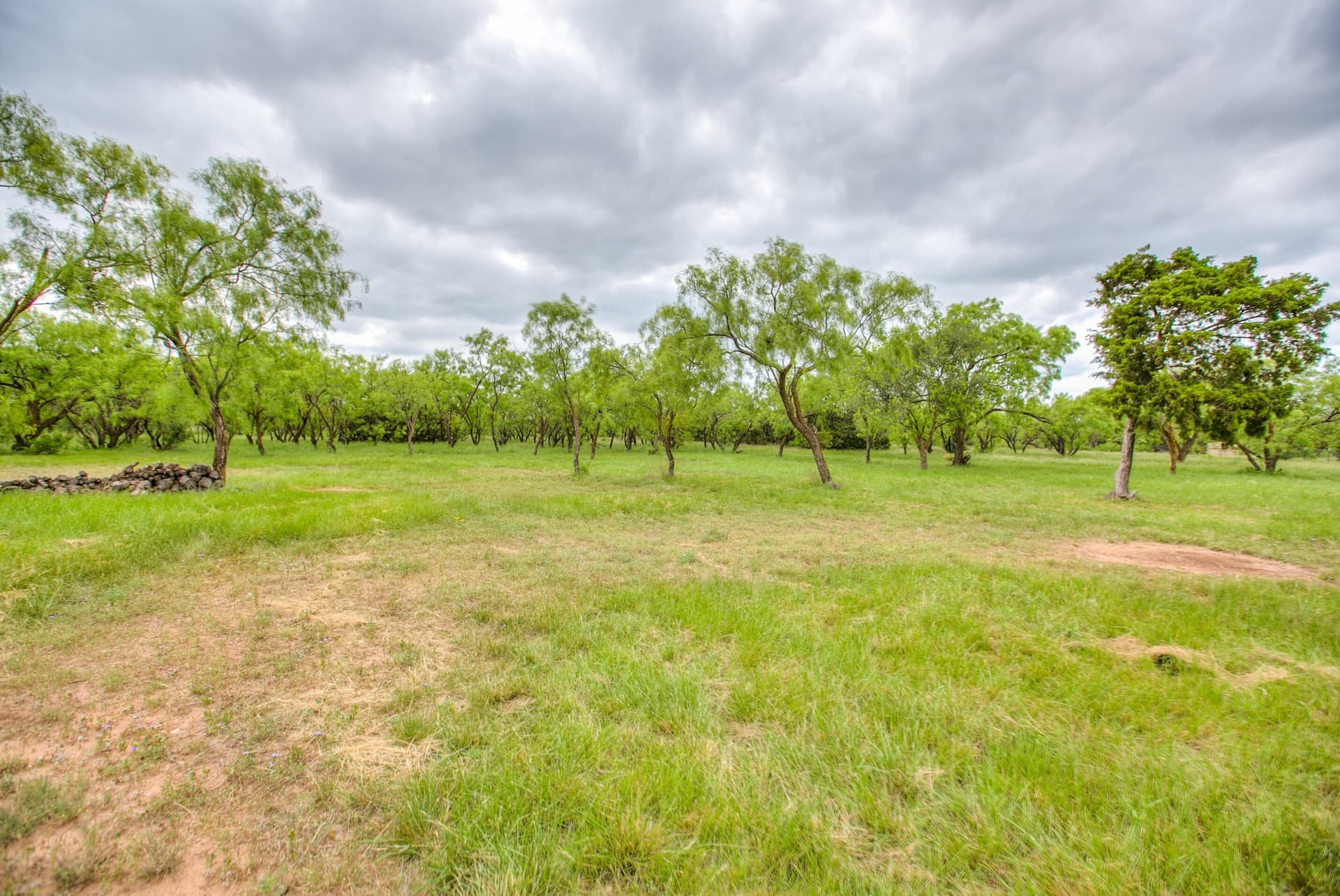 86.23 acres in Runnels County - photo 7