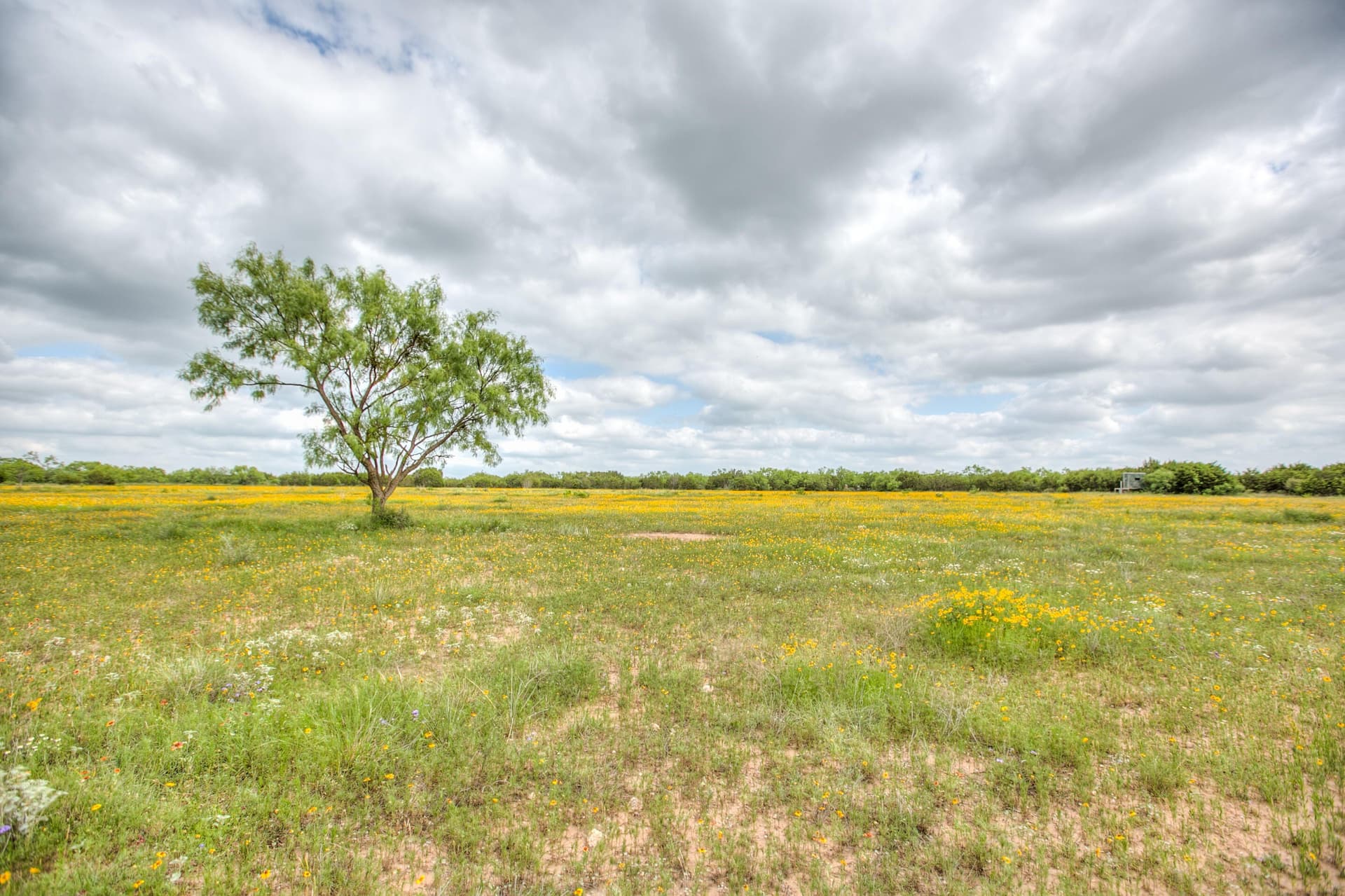 86.23 acres in Runnels County - photo 51