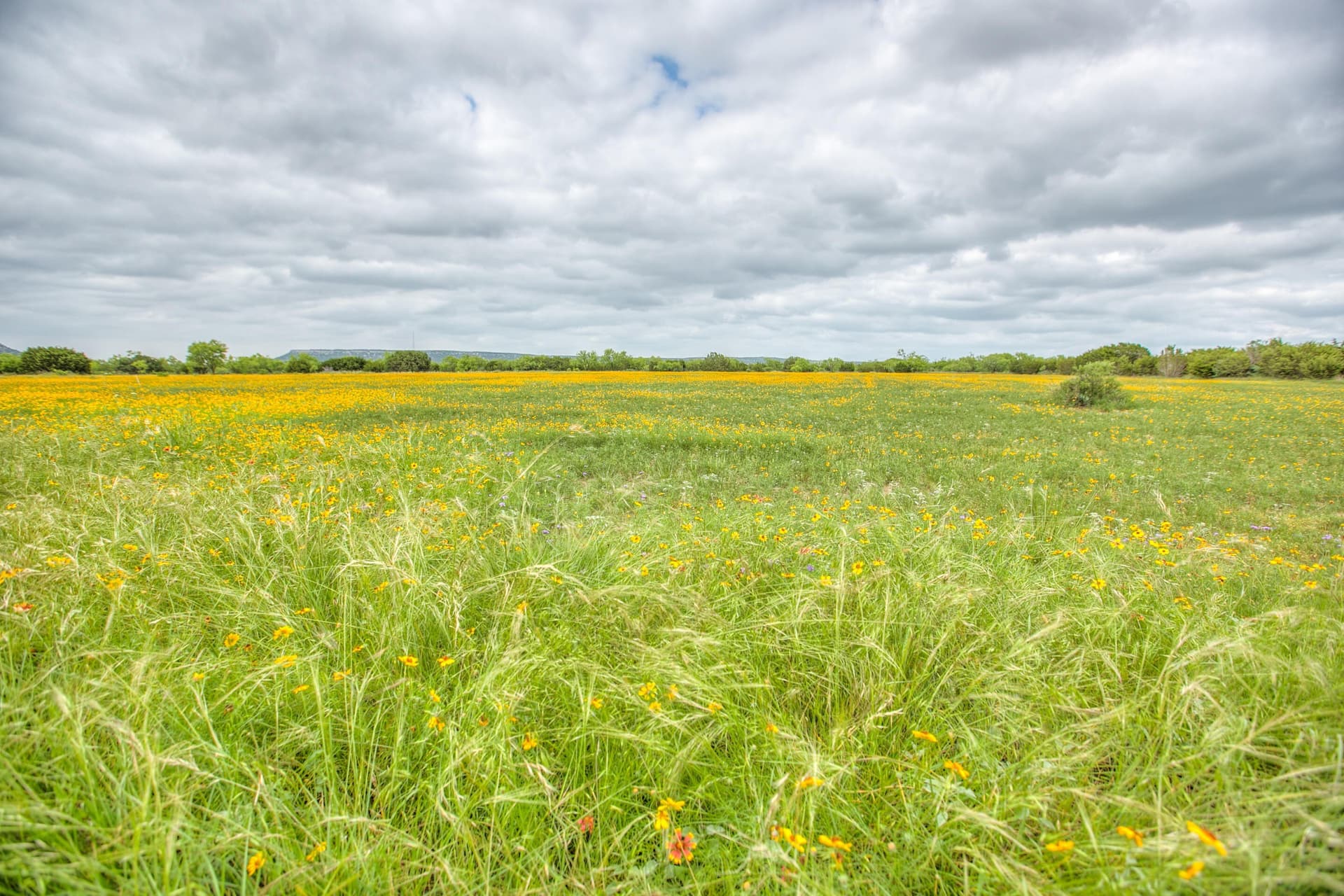 86.23 acres in Runnels County - photo 53