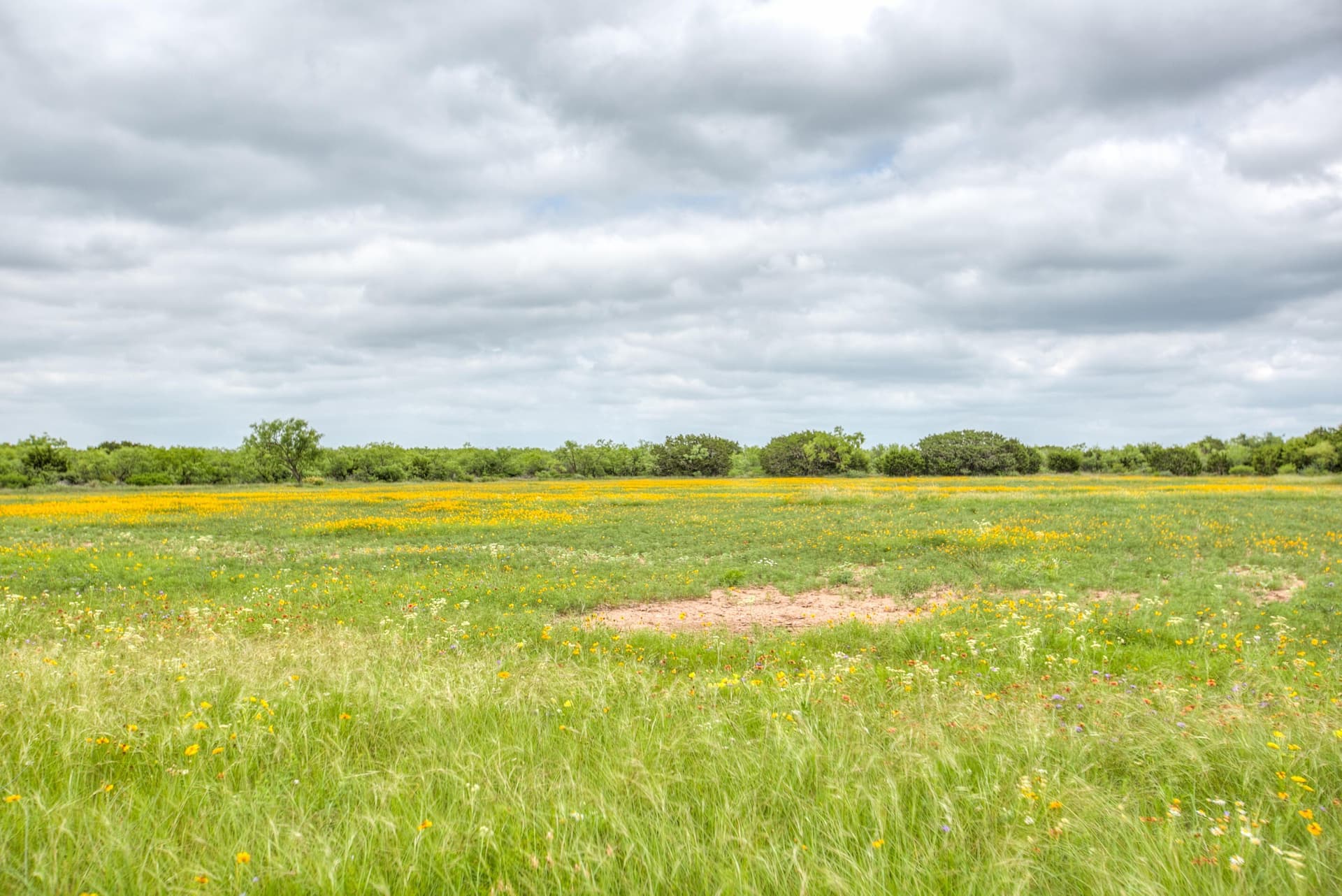 86.23 acres in Runnels County - photo 40