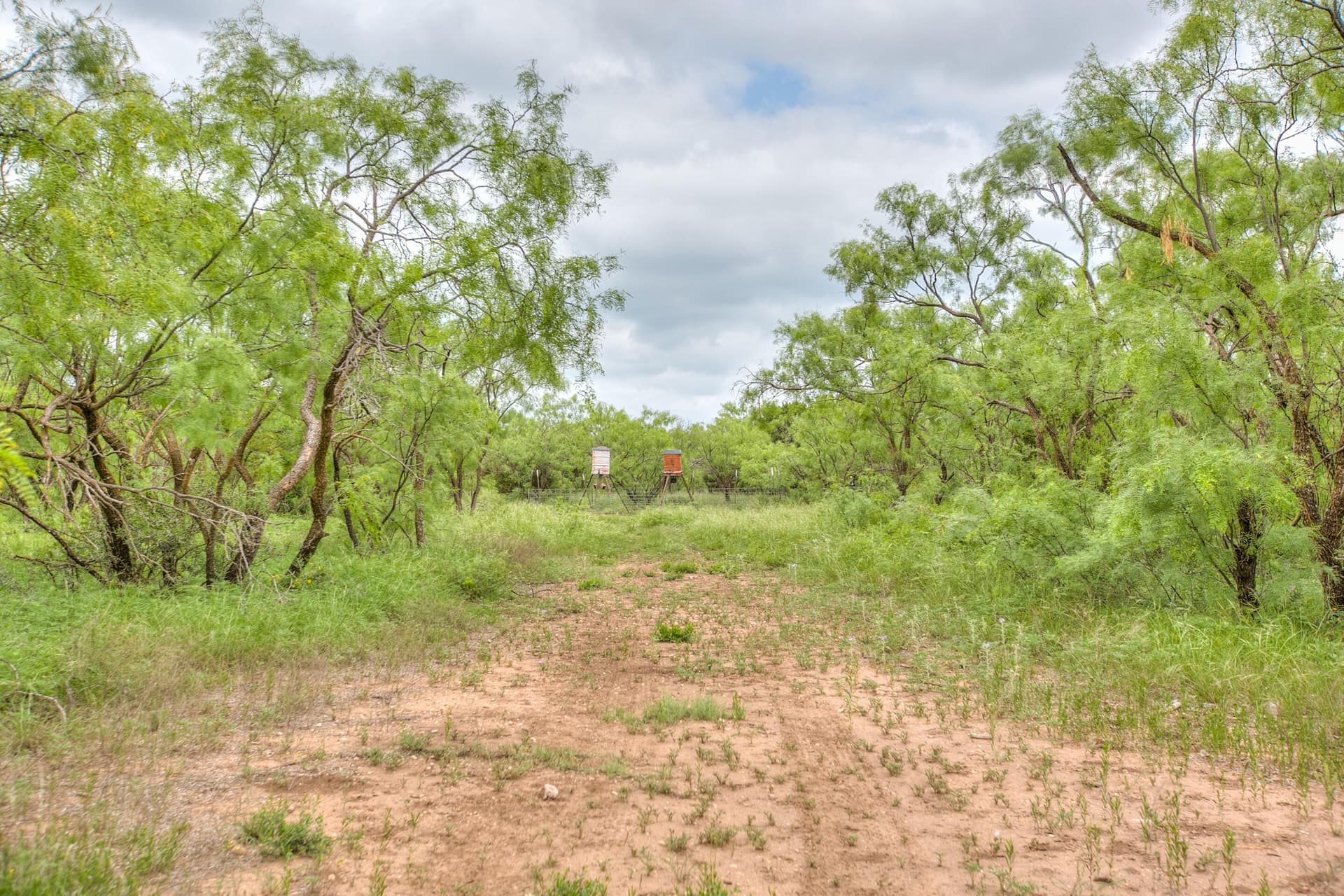 86.23 acres in Runnels County - photo 42