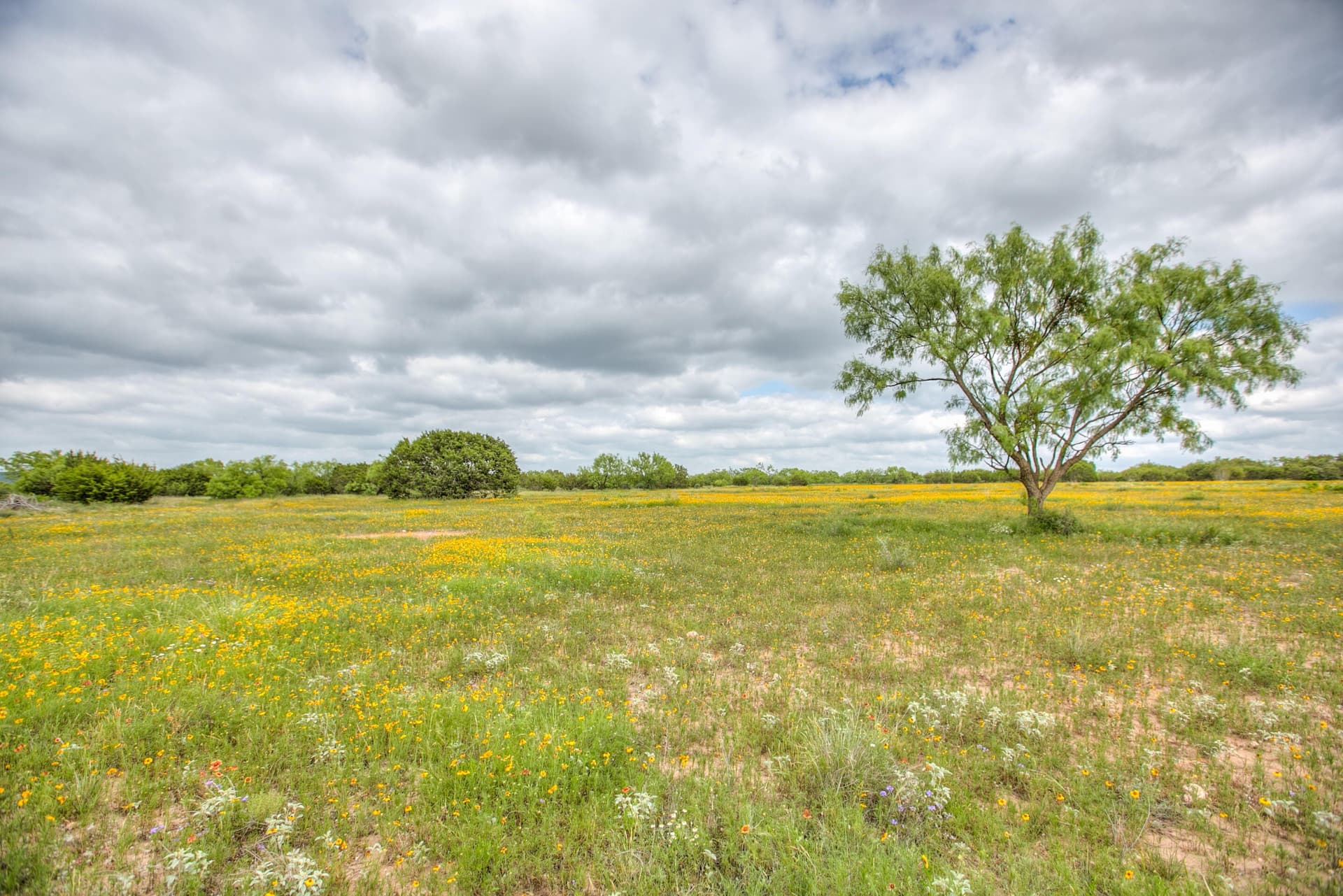 86.23 acres in Runnels County - photo 52