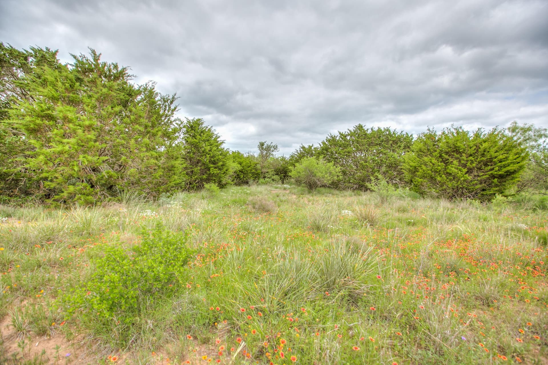 86.23 acres in Runnels County - photo 37