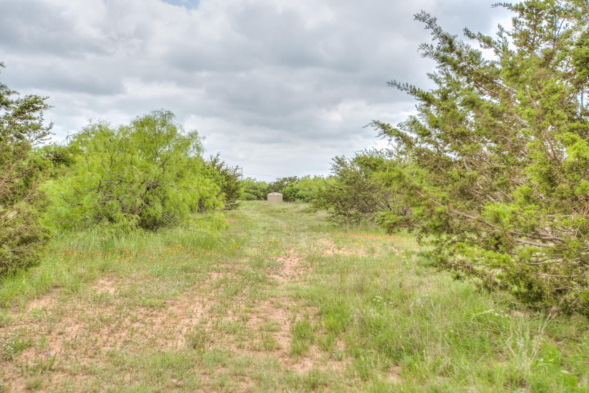 86.23 acres in Runnels County - photo 56