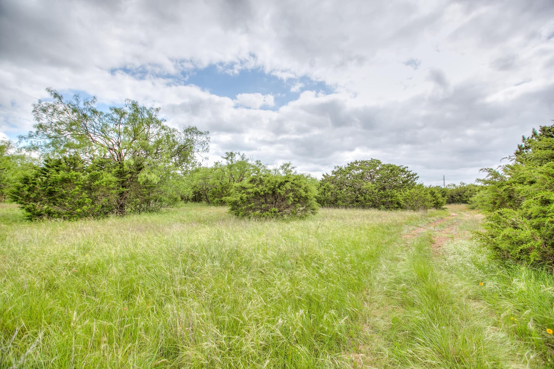 86.23 acres in Runnels County - photo 58
