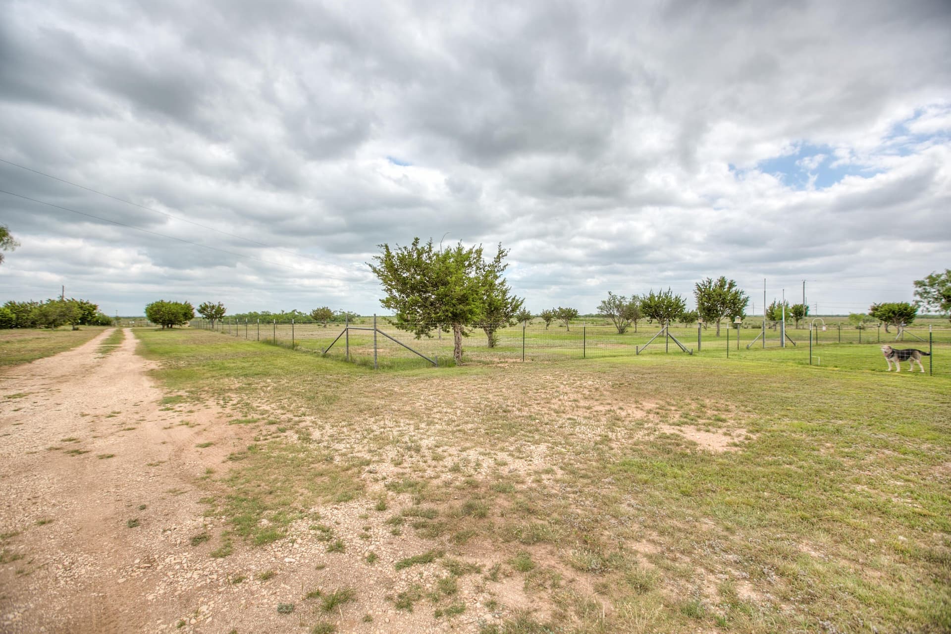 86.23 acres in Runnels County - photo 26