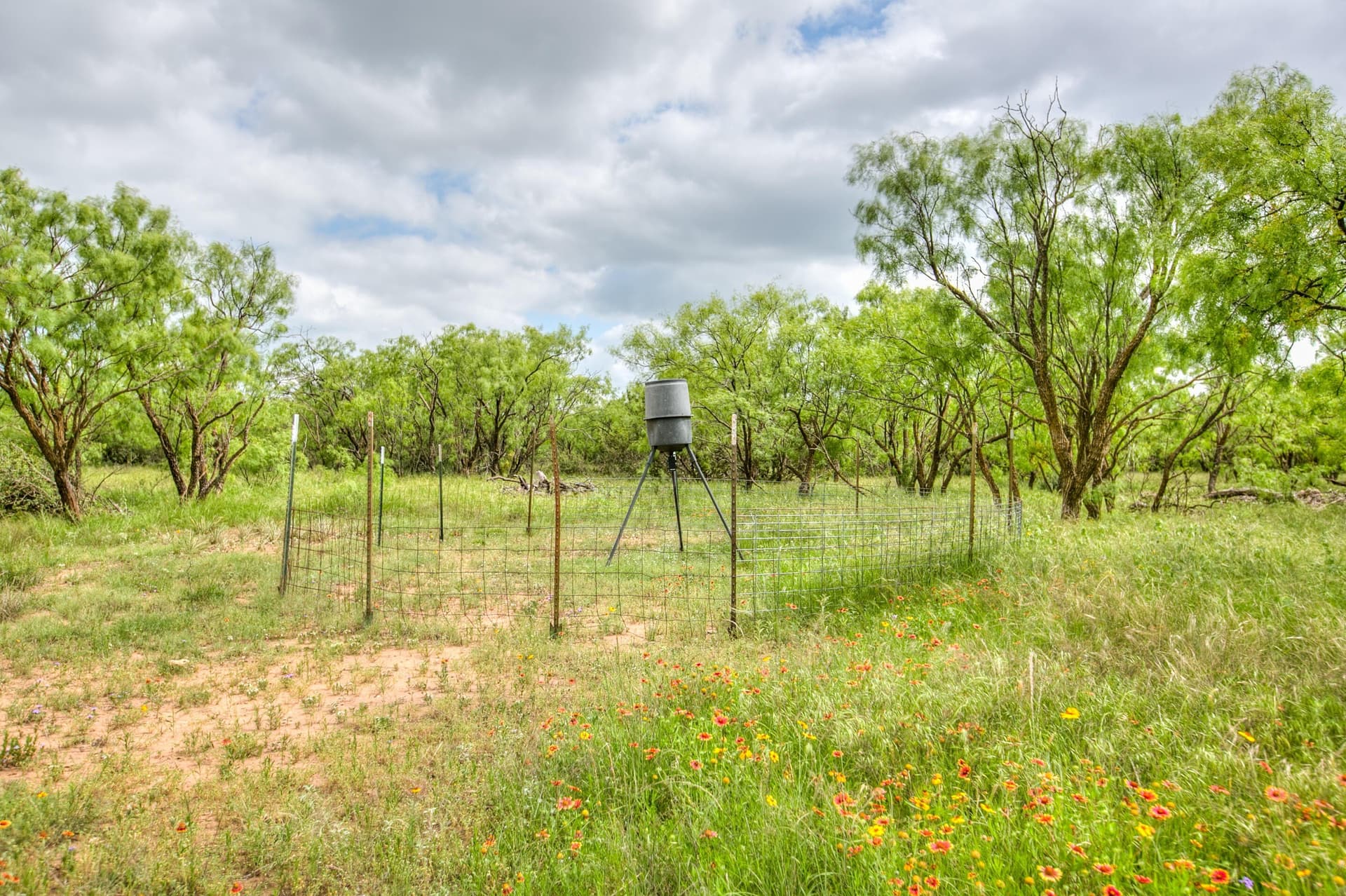 86.23 acres in Runnels County - photo 49