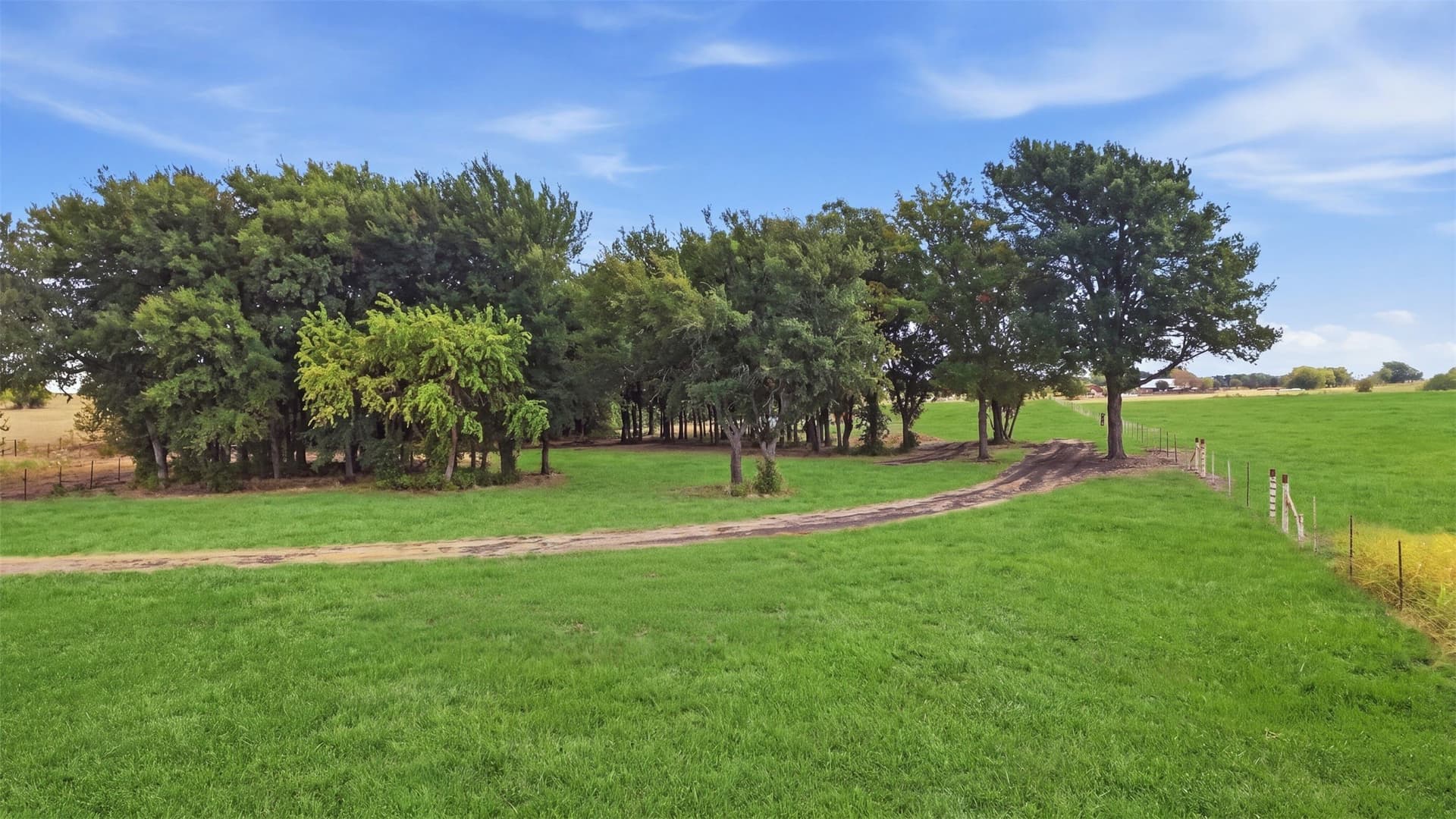 8 acres in Wise County - photo 7