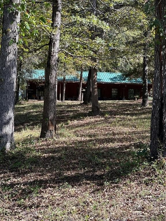 10.09 acres in Smith County gallery image 2