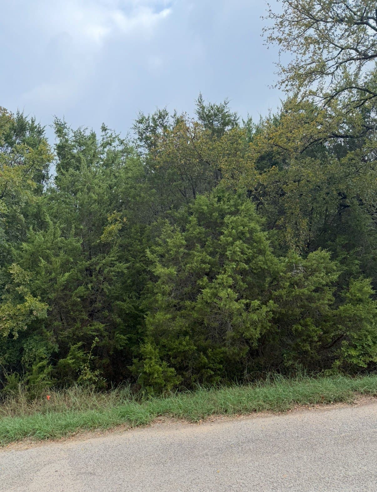 0.11 acres in Hood County - photo 5