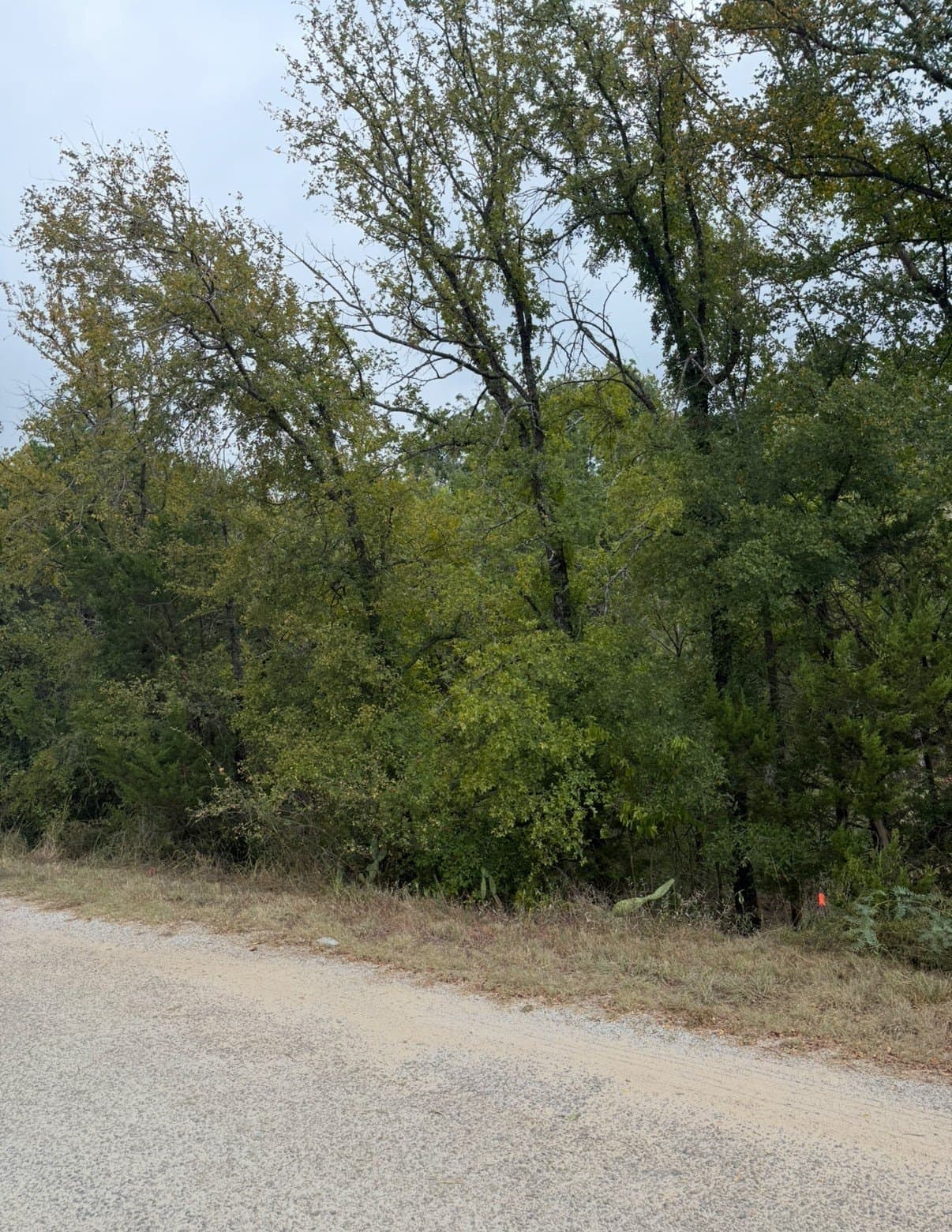 0.11 acres in Hood County - photo 2