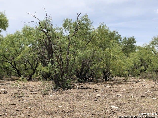 52.03 acres in Schleicher County - photo 20