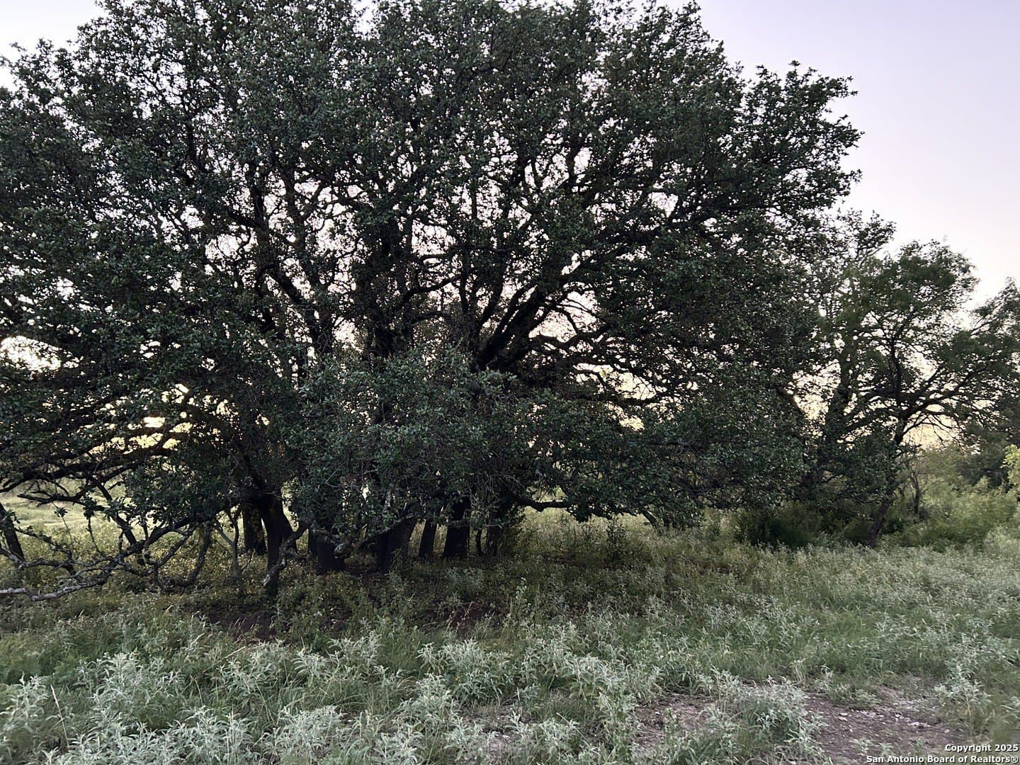 52.03 acres in Schleicher County - photo 40