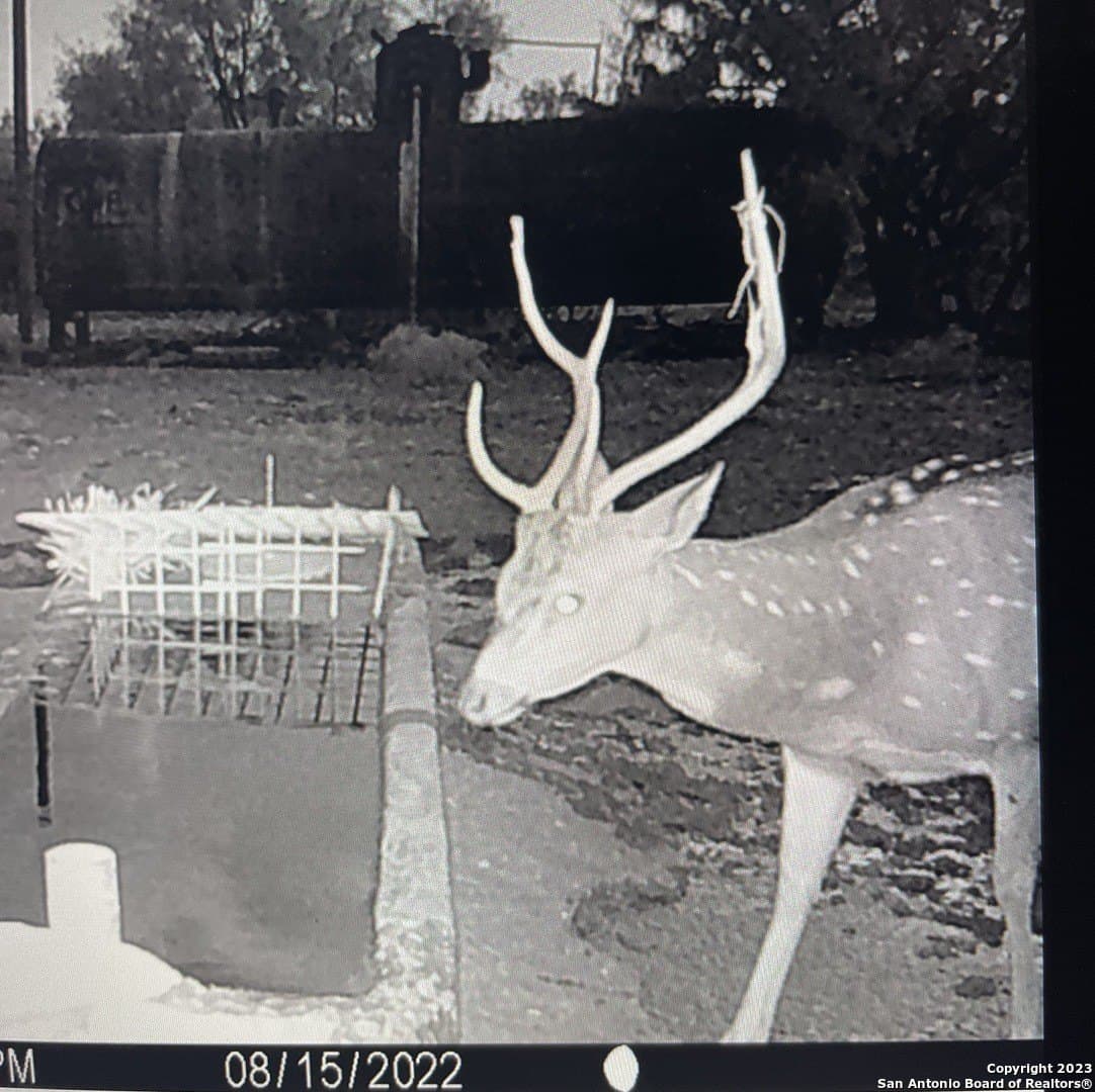 52.03 acres in Schleicher County featured view