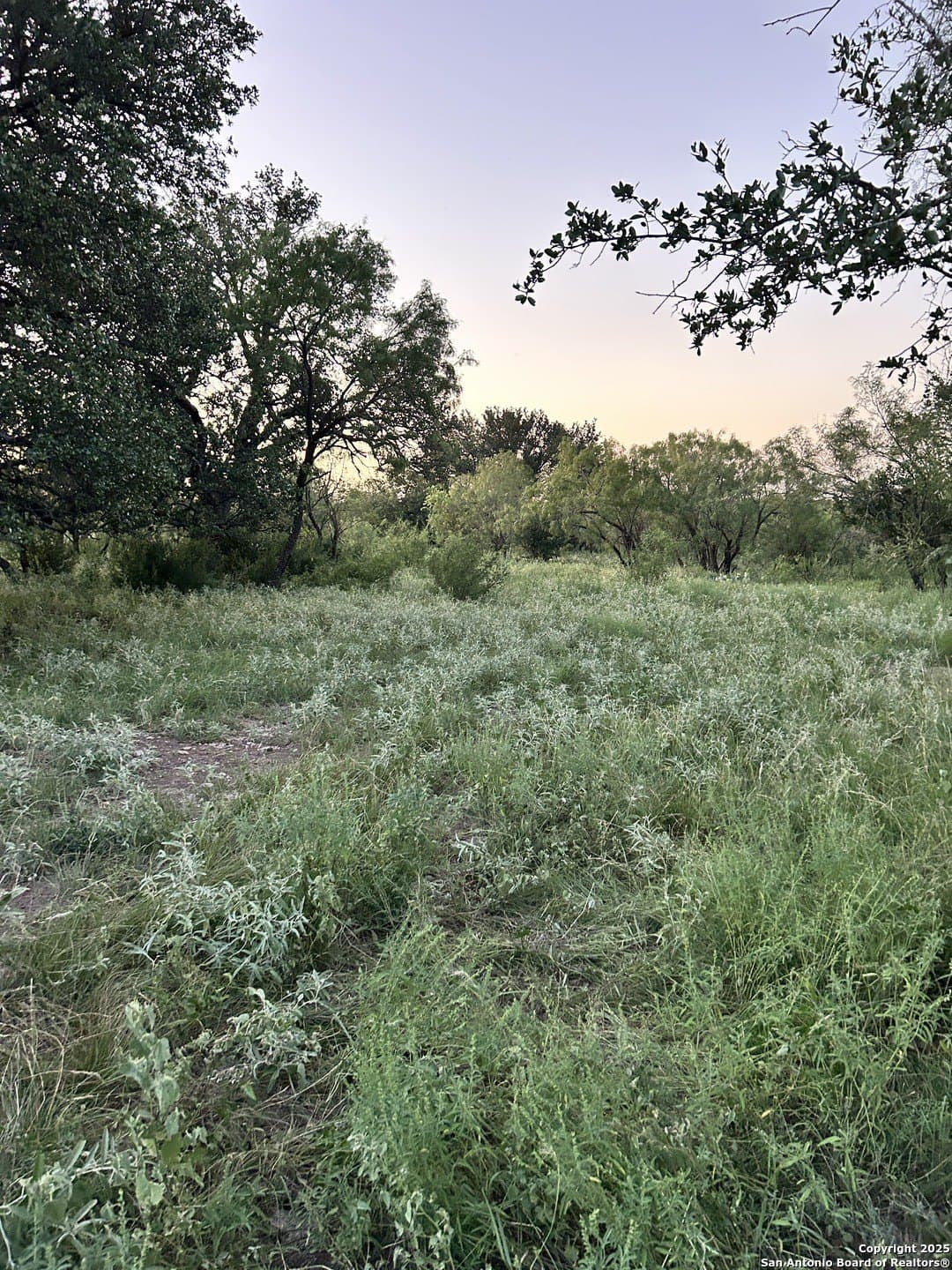 52.03 acres in Schleicher County - photo 39