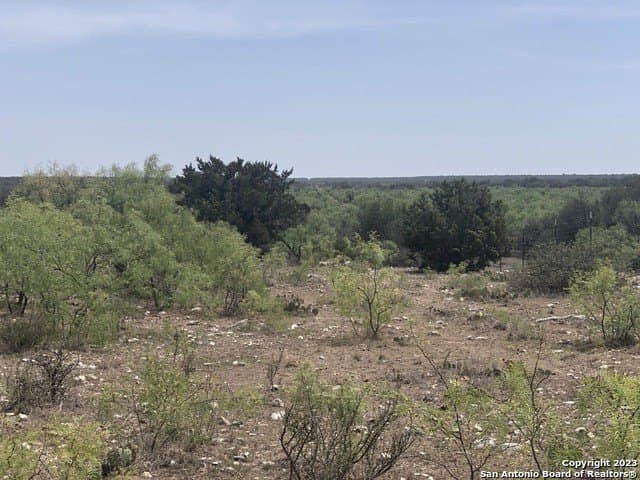 52.03 acres in Schleicher County - photo 8