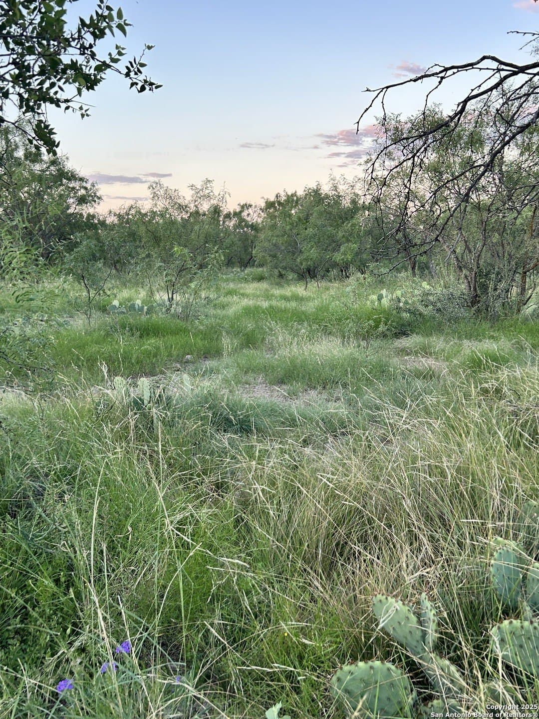 52.03 acres in Schleicher County - photo 42