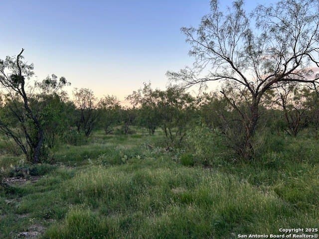 52.03 acres in Schleicher County - photo 38