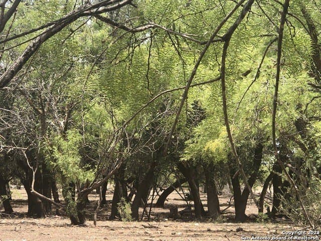 52.03 acres in Schleicher County - photo 6