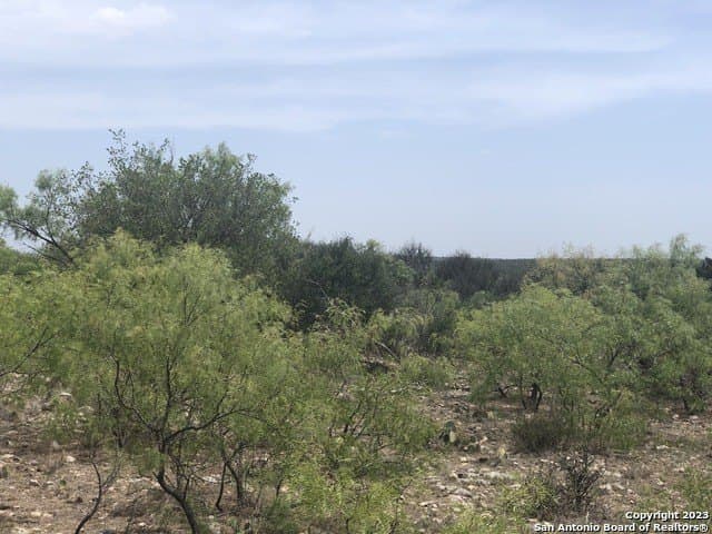 52.03 acres in Schleicher County - photo 26
