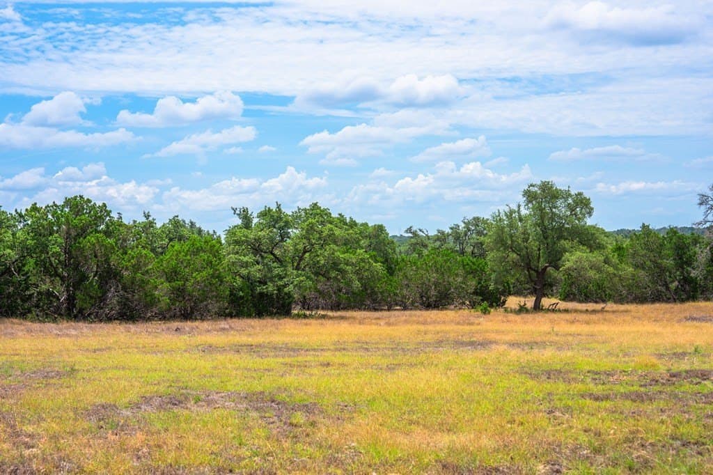 140.28 acres in Gillespie County gallery image 3