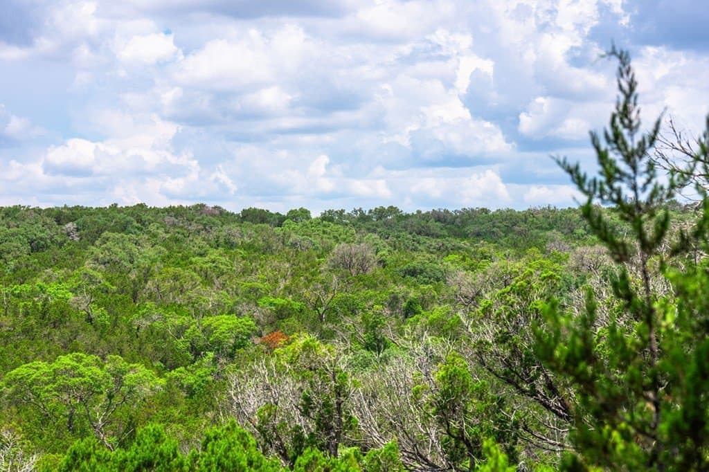 140.27 acres in Gillespie County - photo 31