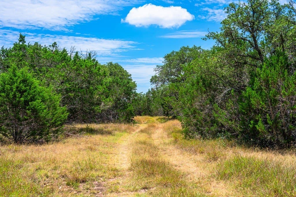 140.28 acres in Gillespie County featured view